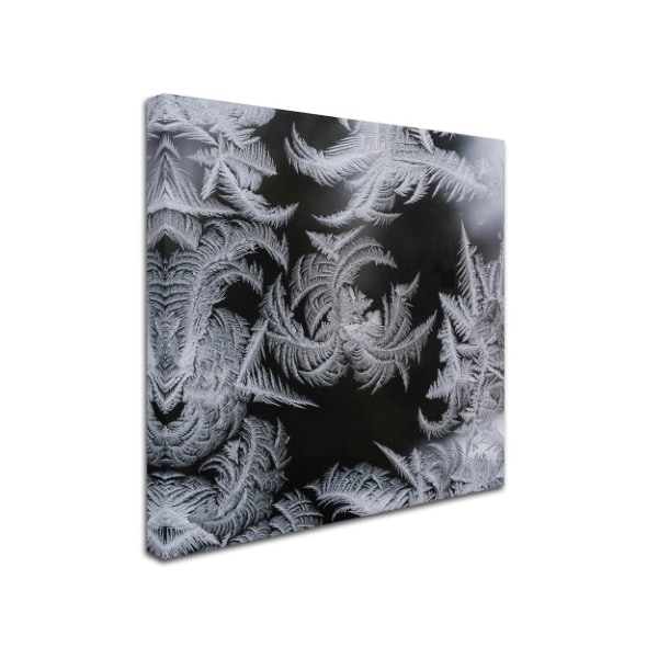 Kurt Shaffer 'Window Frost Pattern 2' Canvas Art,18x18